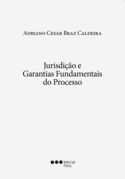 Jurisdição e garantias fundamentais do processo