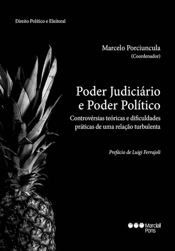 Poder Judiciário e Poder Político